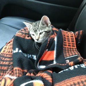 Meet your Posher, Lori